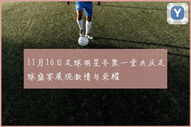 11月16日足球明星齐聚一堂共庆足球盛宴展现激情与荣耀