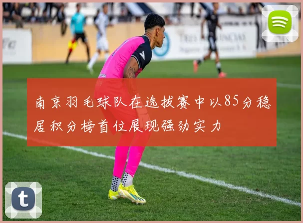 南京羽毛球队在选拔赛中以85分稳居积分榜首位展现强劲实力