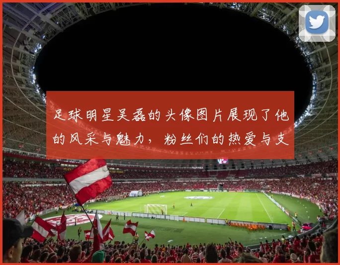 足球明星吴磊的头像图片展现了他的风采与魅力，粉丝们的热爱与支持尽显无遗