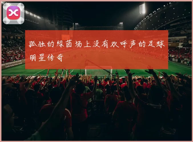 孤独的绿茵场上没有欢呼声的足球明星传奇