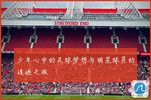 少年心中的足球梦想与明星球员的追逐之旅