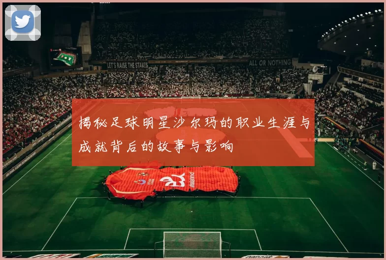 揭秘足球明星沙尔玛的职业生涯与成就背后的故事与影响