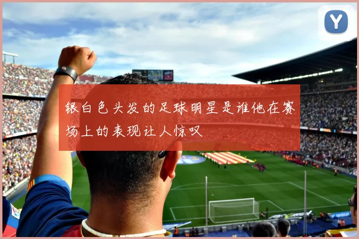 银白色头发的足球明星是谁他在赛场上的表现让人惊叹