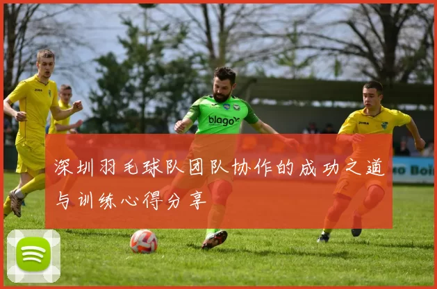 深圳羽毛球队团队协作的成功之道与训练心得分享