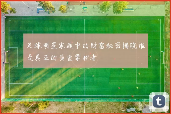 足球明星家庭中的财富秘密揭晓谁是真正的黄金掌控者