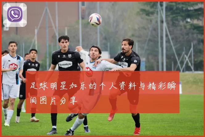 足球明星加乐的个人资料与精彩瞬间图片分享