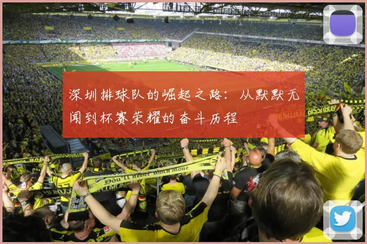 深圳排球队的崛起之路：从默默无闻到杯赛荣耀的奋斗历程