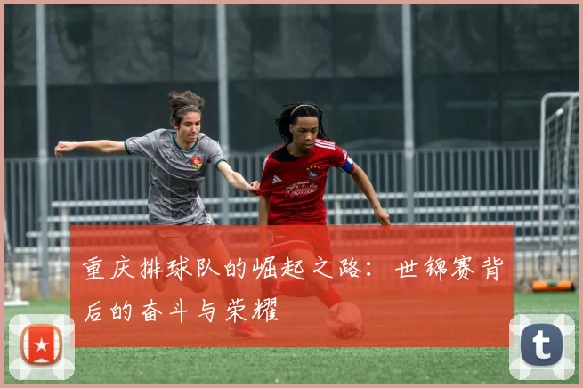 重庆排球队的崛起之路：世锦赛背后的奋斗与荣耀